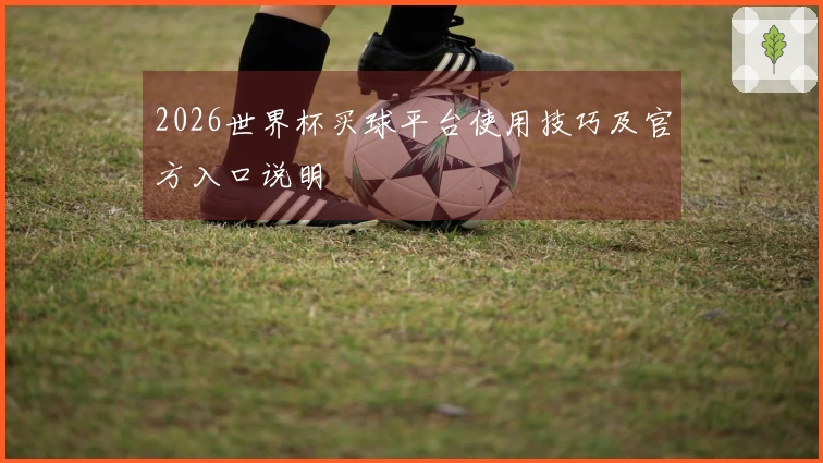 2026世界杯买球平台使用技巧及官方入口说明