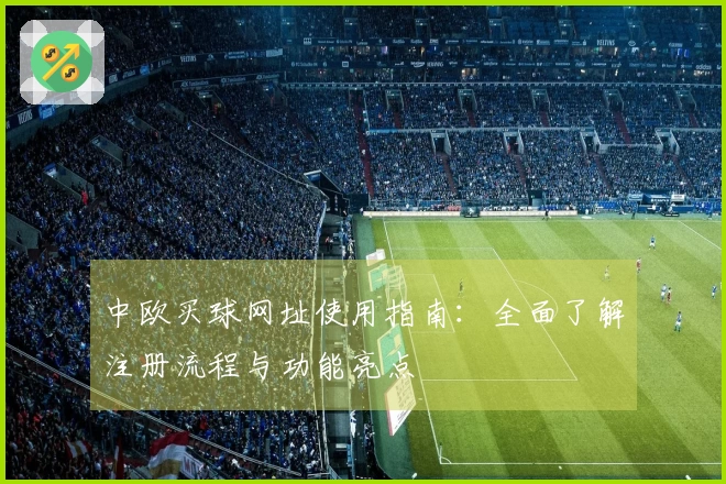 中欧买球网址使用指南：全面了解注册流程与功能亮点