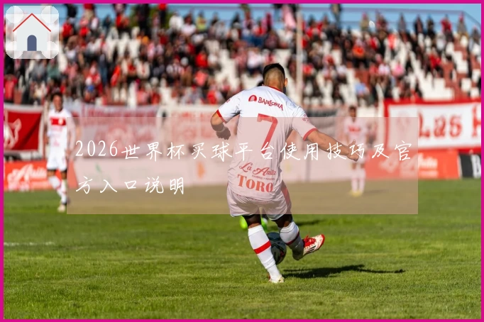 2026世界杯买球平台使用技巧及官方入口说明