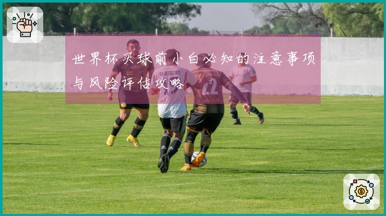 世界杯买球前小白必知的注意事项与风险评估攻略
