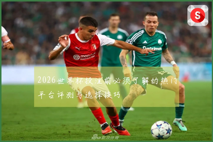 2026世界杯投注前必须了解的热门平台评测与选择技巧