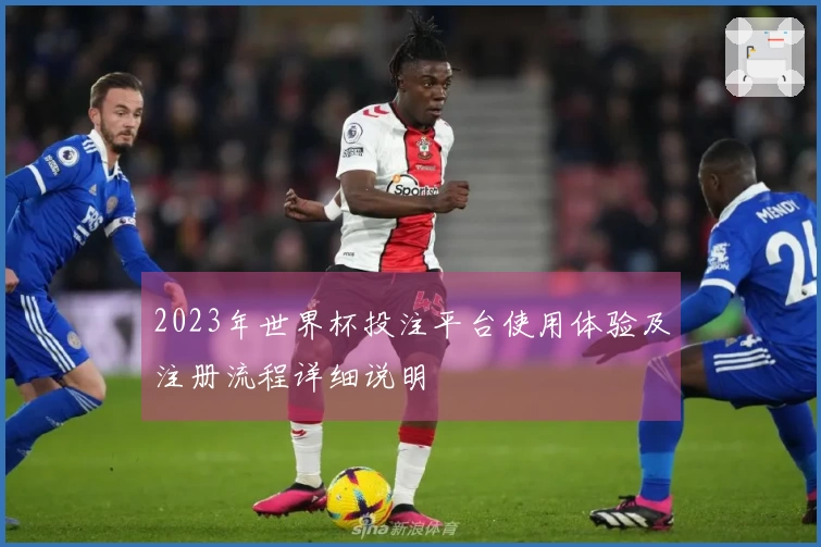 2023年世界杯投注平台使用体验及注册流程详细说明