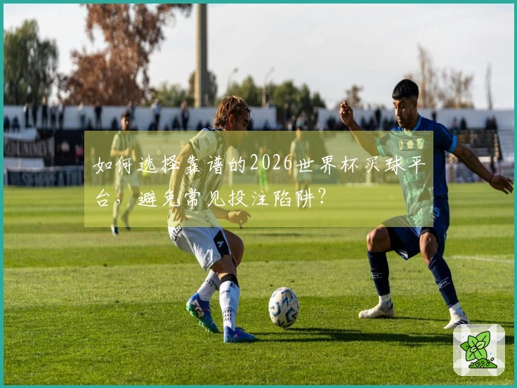 如何选择靠谱的2026世界杯买球平台，避免常见投注陷阱？