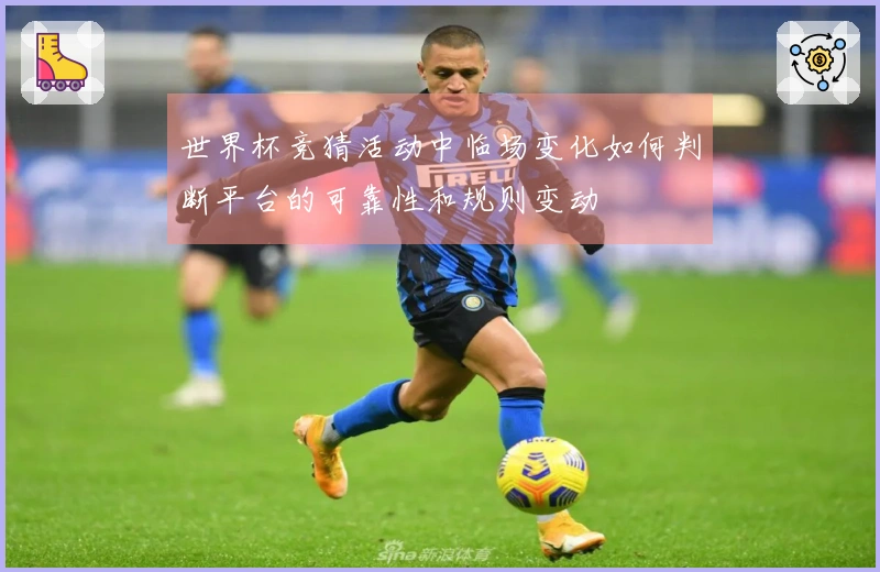 世界杯竞猜活动中临场变化如何判断平台的可靠性和规则变动