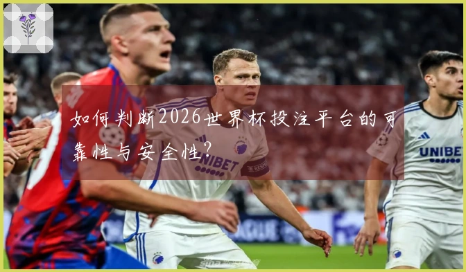 如何判断2026世界杯投注平台的可靠性与安全性？