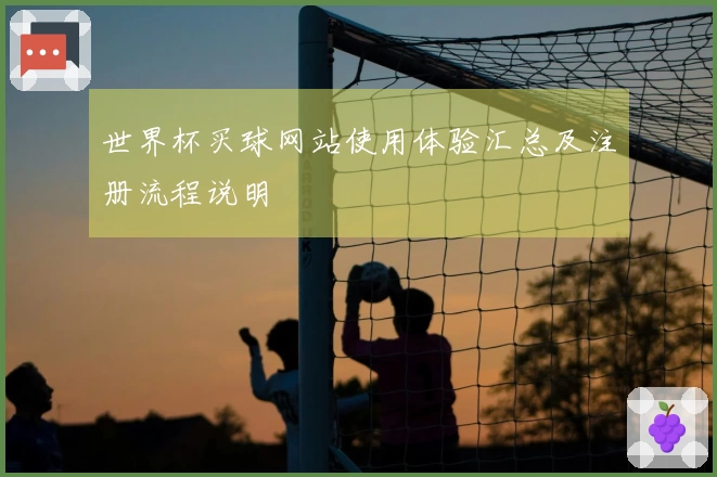 世界杯买球网站使用体验汇总及注册流程说明