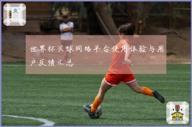 世界杯买球网络平台使用体验与用户反馈汇总