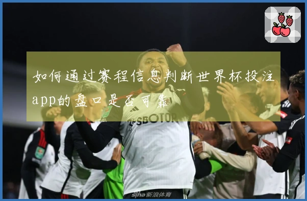 如何通过赛程信息判断世界杯投注app的盘口是否可靠