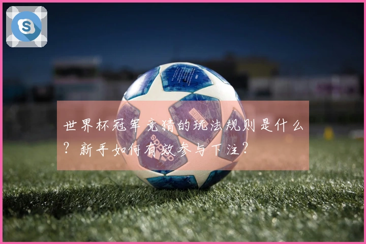 世界杯冠军竞猜的玩法规则是什么？新手如何有效参与下注？