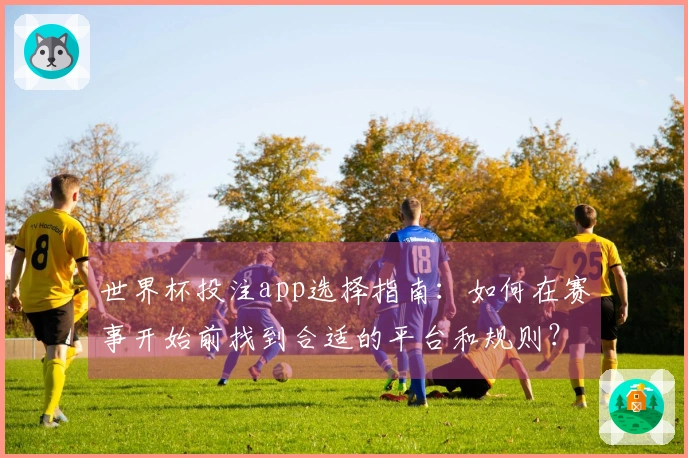 世界杯投注app选择指南：如何在赛事开始前找到合适的平台和规则？