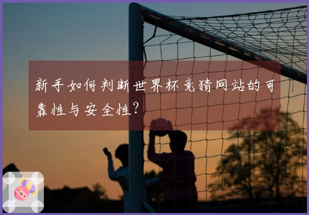 新手如何判断世界杯竞猜网站的可靠性与安全性？