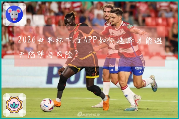2026世界杯下注APP如何选择才能避开陷阱与风险？