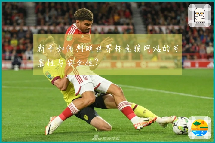 新手如何判断世界杯竞猜网站的可靠性与安全性？