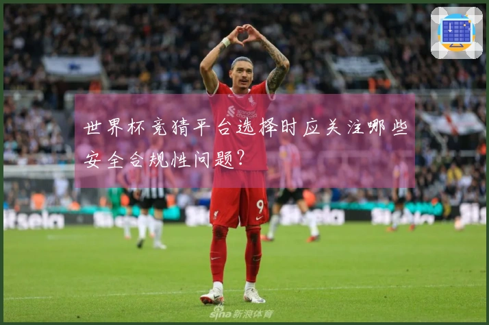 世界杯竞猜平台选择时应关注哪些安全合规性问题？