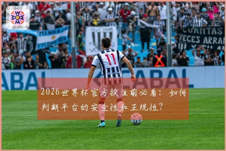 2026世界杯官方投注前必看：如何判断平台的安全性和正规性？