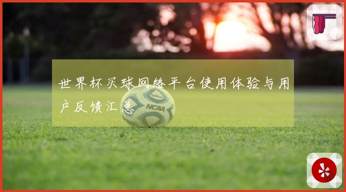 世界杯买球网络平台使用体验与用户反馈汇总