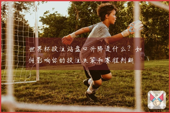 世界杯投注站盘口升降是什么？如何影响你的投注决策和赛程判断