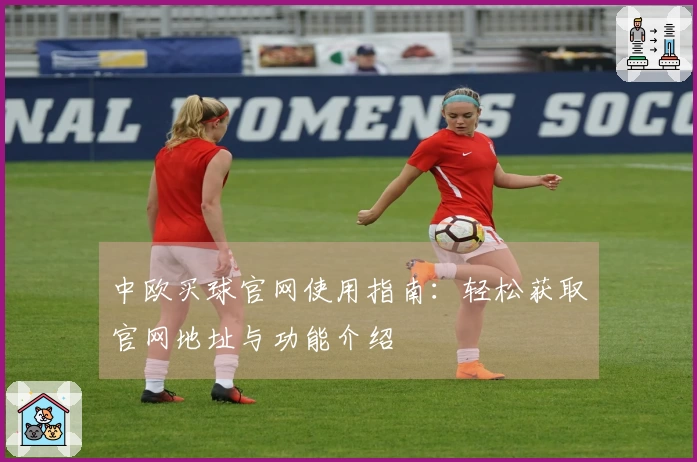 中欧买球官网使用指南：轻松获取官网地址与功能介绍