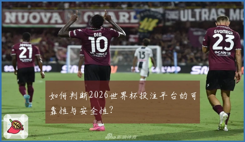 如何判断2026世界杯投注平台的可靠性与安全性？